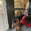 치즈노래연습장 이미지