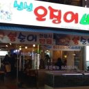 오징어바다회