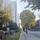 만수하우스토리 이미지