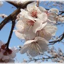 성환농장 이미지