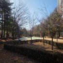 선주리들 이미지