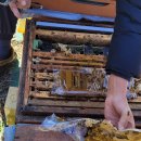 벌꿀식당 이미지