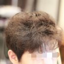 더 하우스 헤어