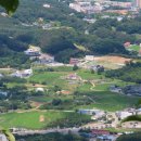 (주)호랑나비