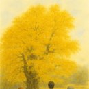 나무여행 이미지