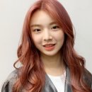 까르담헤어 네이버블로그