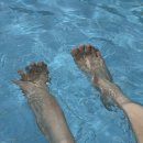 지에스25신흥메트로 | [공지] 마리나베이 속초 호텔 수영장 요금 이용시간 및 슈페리어 더블 내돈내산 후기