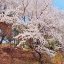 이마트에브리데이 마북동점 네이버블로그