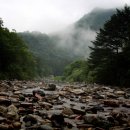 새론민박 이미지