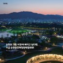 순천-72호 이미지