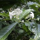 종명랜드 이미지