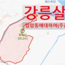 파리바게뜨강릉공군비행단점 | [강릉 살기 #1] 강릉, 여행지에서 내 동네가 되었다.