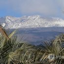 징검다리 이미지