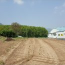 포항시북구2 이미지