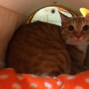 (주)온누***
