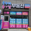 센트리움공인중개사사무소 네이버블로그