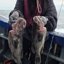신진낚시 - 구미시 금오대로 357 | [태안 신진항 배낚시 후기] 인생 첫 우럭 배 낚시 🎣