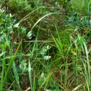 하늘지기 이미지