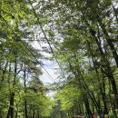 백화산입구(삭선리) 네이버블로그