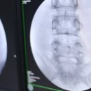 진영센텀정형외과의원 이미지