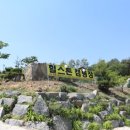 힐스톤 캠핑장 이미지