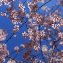 조양수지 이미지