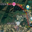 한방생태숲 | 10. 비룡담저수지 한방생태치유숲길+의림지 생태숲길(2025.9.28)