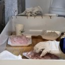 산청시장 | [통영] 통영중앙시장회 ‘산청활어’ 포장후기