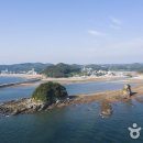 댕댕로망스 이미지