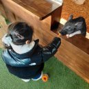 더정글 | 충주 실내 아이와 가볼만한 파충류 동물 체험 카페 '더정글' 내돈내산 솔직 후기