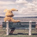 업사이클링 양말인형만들기 이미지