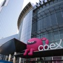 만나 메디코리아 이미지