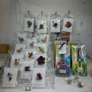 [04/19] 프리저브드 플라워 미니센터피스 - 원데이 클래스 | #송파# <라이티티아플로> | 석촌역 꽃집 24시간 무인 송파 꽃집