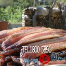 일등수산 - 군포시 수리산로 8 | 일등수산