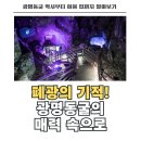 변천마을(개천골농원) | 광명동굴 역사부터 이용 팁까지 알차게 알아보기