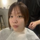 인애미용실 | 청담 레이어드컷 잘하는 미용실 피트강아티잔 스미스님 컷트후기