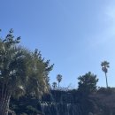 스탠포드호텔앤리조트 제주 이미지