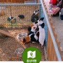 새동네농장 이미지