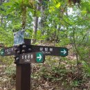 대곡초등학교 삼거리 이미지