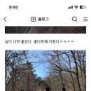GS25 군포궁내점 이미지