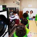 보성세탁 이미지