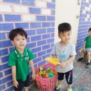 (주)초록들 Daum카페
