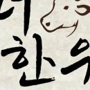 더한우 이미지