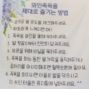 함양 와인밸리 와인동굴과 와인족욕체험후기
