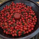 국희농장 이미지