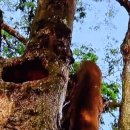 동호자동차공업사 이미지