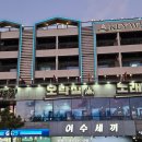 중앙동256 이미지