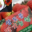 삼도품딸기 네이버블로그