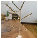 섬지뜰농장 이미지