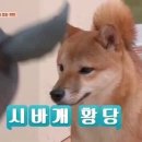 오늘,버거싶어 네이버블로그